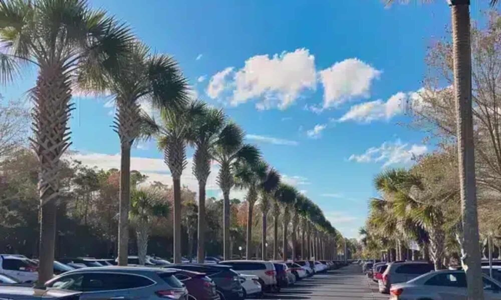 Who’s at Fault for a Parking Lot Accident in South Carolina? Explained
