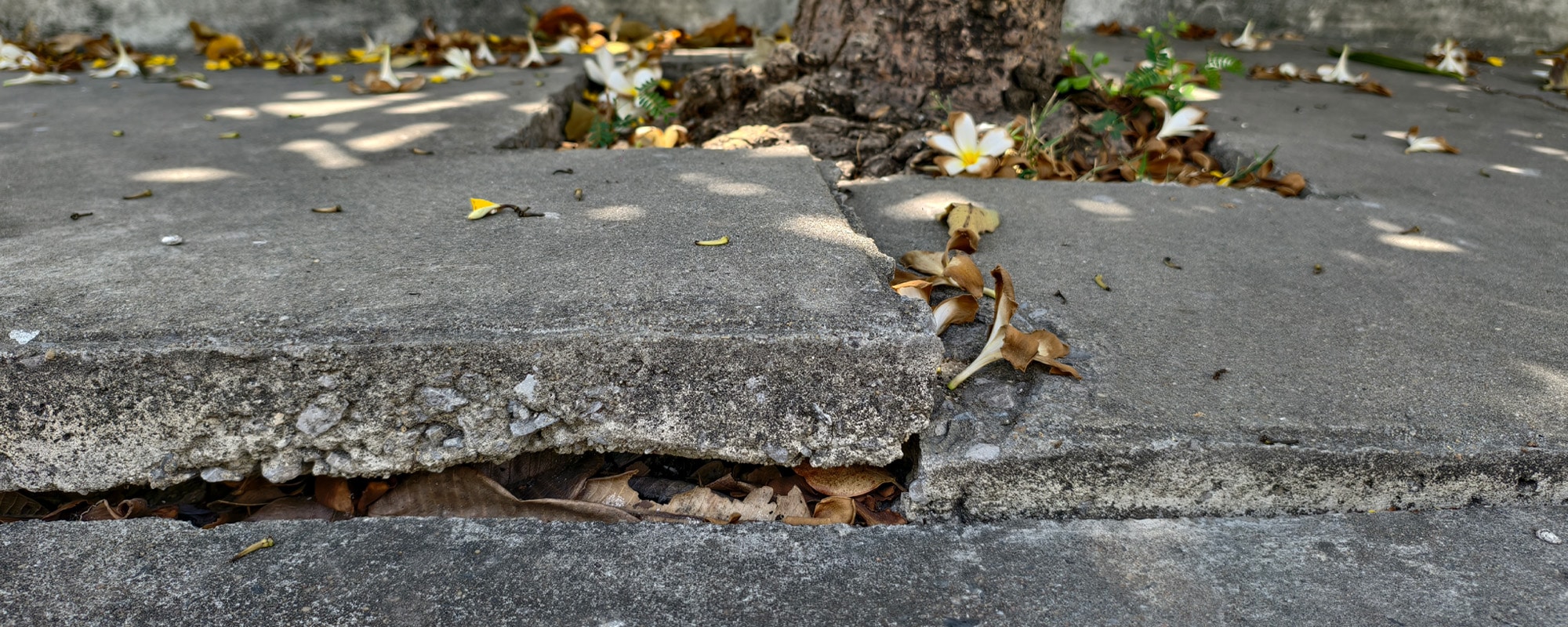 The Average Premises Liability Settlement Amounts