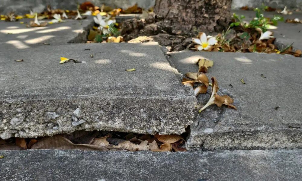 The Average Premises Liability Settlement Amounts